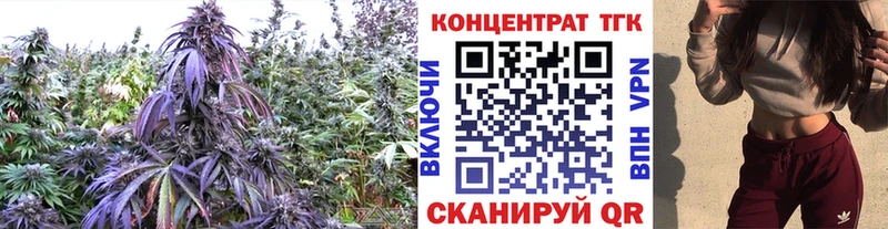 магазин продажи наркотиков  Кохма  ТГК Wax 